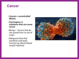 • Cancers = uncontrolled
Mitosis
• Carcinogens: A
substance that can cause
cancer
• Benign –Tumors that do
not spread from its site of
origin
• Malignant (One that
interferes with body
function eg. Blocks blood
vessel/ intestine)
Cancer
 