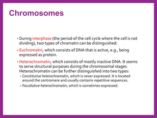 • During interphase (the period of the cell cycle where the cell is not
dividing), two types of chromatin can be distinguished:
• Euchromatin, which consists of DNA that is active, e.g., being
expressed as protein.
• Heterochromatin, which consists of mostly inactive DNA. It seems
to serve structural purposes during the chromosomal stages.
Heterochromatin can be further distinguished into two types:
• Constitutive heterochromatin, which is never expressed. It is located
around the centromere and usually contains repetitive sequences.
• Facultative heterochromatin, which is sometimes expressed.
Chromosomes
 