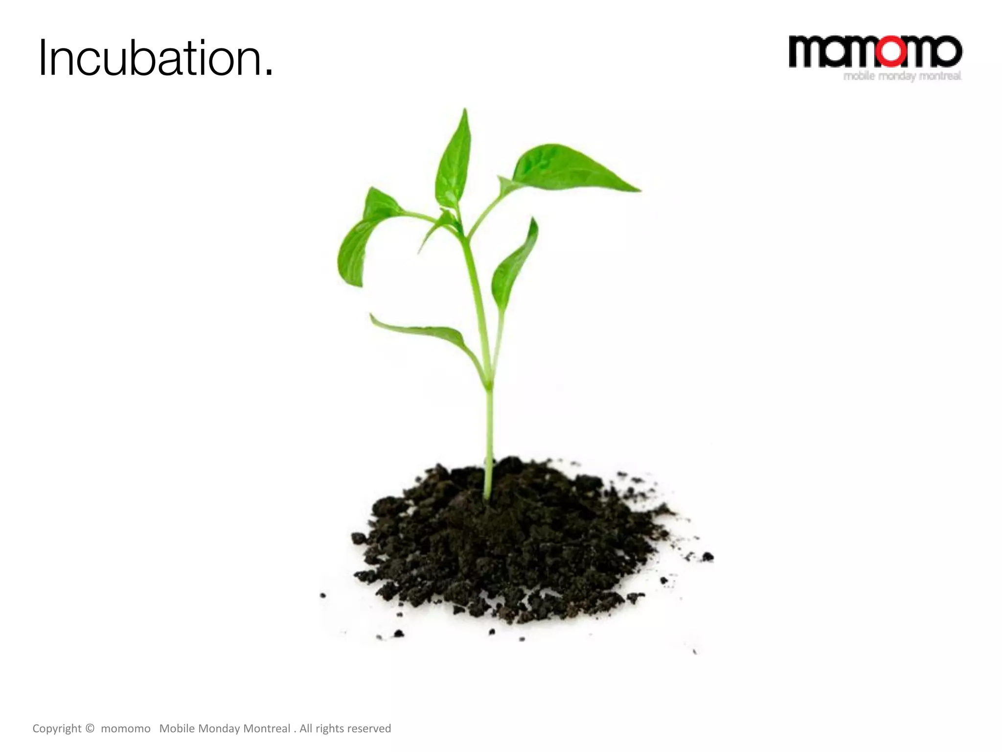 Incubation.




Copyright © momomo Mobile Monday Montreal . All rights reserved
 