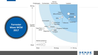 Forrester
Wave WCM
2017
23
 