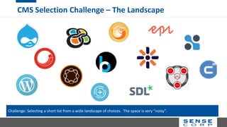 CMS Selection Challenge – The Landscape
Challenge: Selecting a short list from a wide landscape of choices. The space is very “noisy”.
 