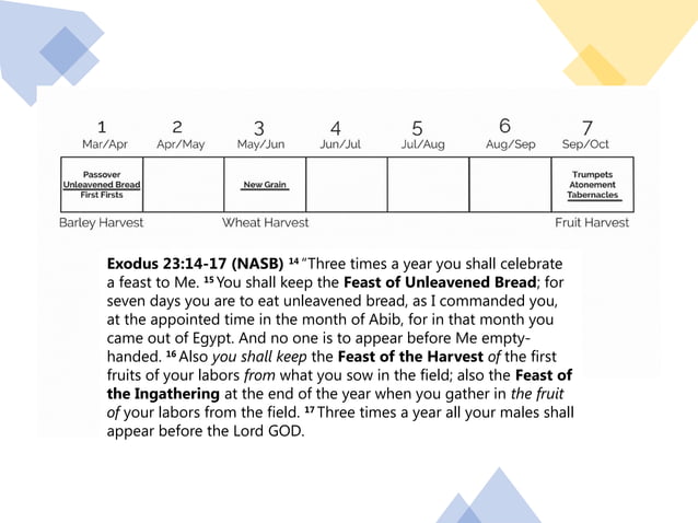 The Moedim - Part 1 - Introduction.pptx