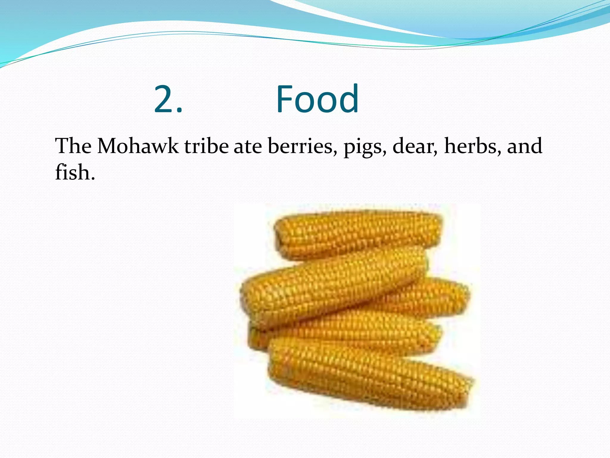 2. Food
The Mohawk tribe ate berries, pigs, dear, herbs, and
fish.
 