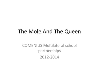 The Mole And The Queen COMENIUS Multilateral school partnerships 2012-2014 