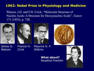 1962: Nobel Prize in Physiology and Medicine
James D.
Watson
Francis H.
Crick
Maurice H. F.
Wilkins
What about?
Rosalind Franklin
Watson, J.D. and F.H. Crick, “Molecular Structure of
Nucleic Acids: A Structure for Deoxynucleic Acids”. Nature
171 (1953), p. 738.
 