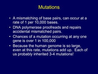 Mutations
• A mismatching of base pairs, can occur at a
rate of 1 per 10,000 bases.
• DNA polymerase proofreads and repairs
accidental mismatched pairs.
• Chances of a mutation occurring at any one
gene is over 1 in 100,000
• Because the human genome is so large,
even at this rate, mutations add up. Each of
us probably inherited 3-4 mutations!
 