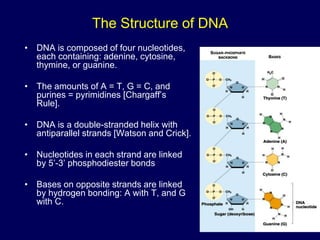The Structure of DNA
• DNA is composed of four nucleotides,
each containing: adenine, cytosine,
thymine, or guanine.
• The amounts of A = T, G = C, and
purines = pyrimidines [Chargaff’s
Rule].
• DNA is a double-stranded helix with
antiparallel strands [Watson and Crick].
• Nucleotides in each strand are linked
by 5’-3’ phosphodiester bonds
• Bases on opposite strands are linked
by hydrogen bonding: A with T, and G
with C.
 