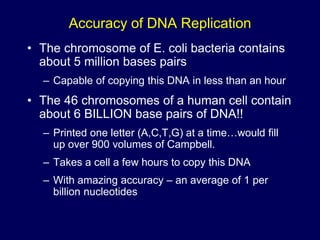 Accuracy of DNA Replication
• The chromosome of E. coli bacteria contains
about 5 million bases pairs
– Capable of copying this DNA in less than an hour
• The 46 chromosomes of a human cell contain
about 6 BILLION base pairs of DNA!!
– Printed one letter (A,C,T,G) at a time…would fill
up over 900 volumes of Campbell.
– Takes a cell a few hours to copy this DNA
– With amazing accuracy – an average of 1 per
billion nucleotides
 