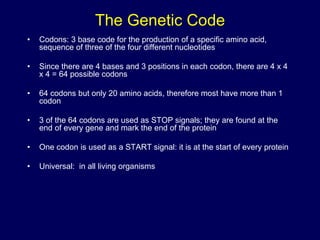 The Genetic Code
• Codons: 3 base code for the production of a specific amino acid,
sequence of three of the four different nucleotides
• Since there are 4 bases and 3 positions in each codon, there are 4 x 4
x 4 = 64 possible codons
• 64 codons but only 20 amino acids, therefore most have more than 1
codon
• 3 of the 64 codons are used as STOP signals; they are found at the
end of every gene and mark the end of the protein
• One codon is used as a START signal: it is at the start of every protein
• Universal: in all living organisms
 