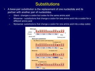 Substitutions
• A base-pair substitution is the replacement of one nucleotide and its
partner with another pair of nucleotides
– Silent - changes a codon but codes for the same amino acid
– Missense - substitutions that change a codon for one amino acid into a codon for a
different amino acid
– Nonsense -substitutions that change a codon for one amino acid into a stop codon
Wild type
A U G A A G U U U G G C U A A
mRNA
5
Protein Met Lys Phe Gly
Stop
Carboxyl end
Amino end
3
A U G A A G U U U G G U U A A
Met Lys Phe Gly
Base-pair substitution
No effect on amino acid sequence
U instead of C
Stop
A U G A A G U U U A G U U A A
Met Lys Phe Ser Stop
A U G U A G U U U G G C U A A
Met Stop
Missense A instead of G
Nonsense
U instead of A
 