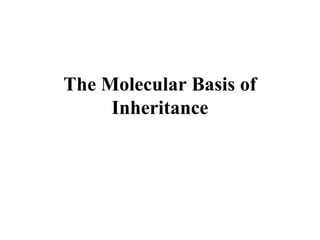 The Molecular Basis of
Inheritance
 