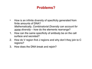 The Molecular Genetics Of Immunoglobulins | PPT