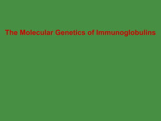 The Molecular Genetics of Immunoglobulins 