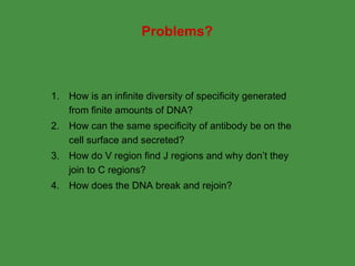 The Molecular Genetics Of Immunoglobulins | PPT
