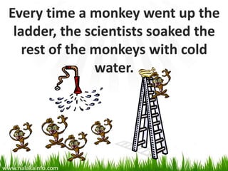 Every time a monkey went up the
   ladder, the scientists soaked the
     rest of the monkeys with cold
                 water.




www.nalakainfo.com
 