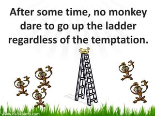 After some time, no monkey
     dare to go up the ladder
   regardless of the temptation.




www.nalakainfo.com
 