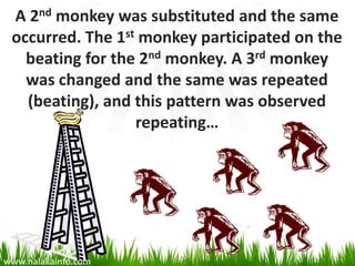 A 2nd monkey was substituted and the same
 occurred. The 1st monkey participated on the
   beating for the 2nd monkey. A 3rd monkey
   was changed and the same was repeated
   (beating), and this pattern was observed
                  repeating…




www.nalakainfo.com
 