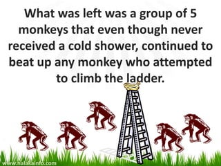 What was left was a group of 5
   monkeys that even though never
 received a cold shower, continued to
 beat up any monkey who attempted
         to climb the ladder.




www.nalakainfo.com
 