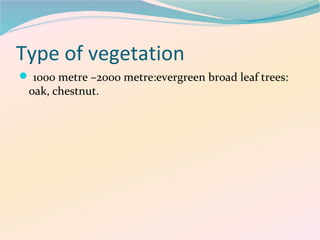 Type of vegetation
 1000 metre –2000 metre:evergreen broad leaf trees:

oak, chestnut.

 