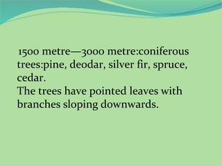 1500 metre—3000 metre:coniferous
trees:pine, deodar, silver fir, spruce,
cedar.
The trees have pointed leaves with
branches sloping downwards.

 