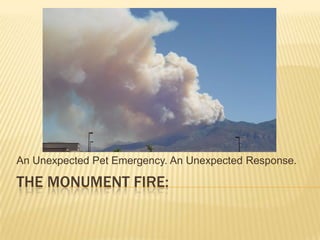 An Unexpected Pet Emergency. An Unexpected Response.

THE MONUMENT FIRE:
 