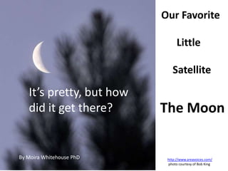 Our Favorite

                                Little

                             Satellite

   It’s pretty, but how
   did it get there?      The Moon


By Moira Whitehouse PhD    http://www.areavoices.com/
                           photo courtesy of Bob King
 