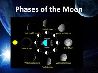Phases of the Moon
 