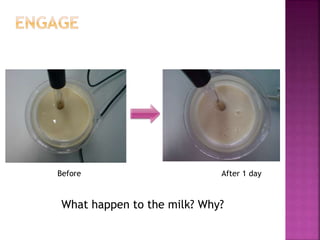 Before After 1 day
What happen to the milk? Why?
 