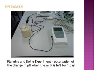 Planning and Doing Experiment – observation of
the change in pH when the milk is left for 1 day.
 