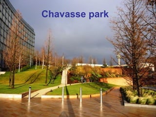 Chavasse park 
 