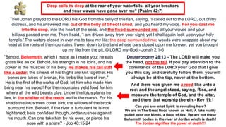 Then Jonah prayed to the LORD his God from the belly of the fish, saying, “I called out to the LORD, out of my
distress, and he answered me; out of the belly of Sheol I cried, and you heard my voice. For you cast me
into the deep, into the heart of the seas, and the flood surrounded me; all your waves and your
billows passed over me. Then I said, ‘I am driven away from your sight; yet I shall again look upon your holy
temple.’ The waters closed in over me to take my life; the deep surrounded me; weeds were wrapped about my
head at the roots of the mountains. I went down to the land whose bars closed upon me forever; yet you brought
up my life from the pit, O LORD my God.- Jonah 2:1-6
Deep calls to deep at the roar of your waterfalls; all your breakers
and your waves have gone over me” (Psalm 42:7)
"Behold, Behemoth, which I made as I made you; he eats
grass like an ox. Behold, his strength in his loins, and his
power in the muscles of his belly. He makes his tail stiff
like a cedar; the sinews of his thighs are knit together. His
bones are tubes of bronze, his limbs like bars of iron."
He is the first of the works of God; let him who made him
bring near his sword! For the mountains yield food for him
where all the wild beasts play. Under the lotus plants he
lies, in the shelter of the reeds and in the marsh. For his
shade the lotus trees cover him; the willows of the brook
surround him. Behold, if the river is turbulent he is not
frightened; he is confident though Jordan rushes against
his mouth. Can one take him by his eyes, or pierce his
nose with a snare? - Job 40:15-24
Deuteronomy 28:13 - The LORD will make you
the head, not the tail. If you pay attention to the
commands of the LORD your God that I give
you this day and carefully follow them, you will
always be at the top, never at the bottom.
And there was given me a reed like unto a
rod: and the angel stood, saying, Rise, and
measure the temple of God, and the altar,
and them that worship therein.- Rev 11:1
Can you see what Spirit is revealing here?
We are in The Great flood known as Hell; A fake reality
pulled over our Minds, a flood of lies! We are not these
Behemoth bodies in the river of Jordan which is death!
The Jordan signifies the power of death!!!
 