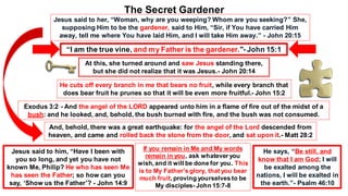 Jesus said to her, “Woman, why are you weeping? Whom are you seeking?” She,
supposing Him to be the gardener, said to Him, “Sir, if You have carried Him
away, tell me where You have laid Him, and I will take Him away.” - John 20:15
The Secret Gardener
“I am the true vine, and my Father is the gardener."- John 15:1
He cuts off every branch in me that bears no fruit, while every branch that
does bear fruit he prunes so that it will be even more fruitful.- John 15:2
And, behold, there was a great earthquake: for the angel of the Lord descended from
heaven, and came and rolled back the stone from the door, and sat upon it.- Matt 28:2
Exodus 3:2 - And the angel of the LORD appeared unto him in a flame of fire out of the midst of a
bush: and he looked, and, behold, the bush burned with fire, and the bush was not consumed.
At this, she turned around and saw Jesus standing there,
but she did not realize that it was Jesus.- John 20:14
Jesus said to him, “Have I been with
you so long, and yet you have not
known Me, Philip? He who has seen Me
has seen the Father; so how can you
say, ‘Show us the Father’? - John 14:9
If you remain in Me and My words
remain in you, ask whatever you
wish, and it will be done for you. This
is to My Father’s glory, that you bear
much fruit, proving yourselves to be
My disciples- John 15:7-8
He says, “Be still, and
know that I am God; I will
be exalted among the
nations, I will be exalted in
the earth.”- Psalm 46:10
 