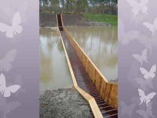 The moses bridge, the netherlands