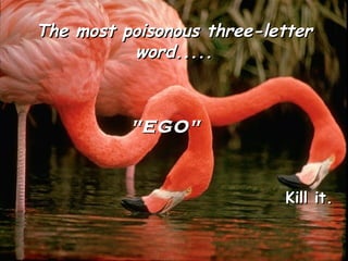 The most poisonous three-letter
word.....
"EGO"
Kill it.