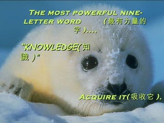 The most powerful nine-letter word   (  ) ....  KNOWLEDGE ( ֪R )&quot; Acquire it (  ). 