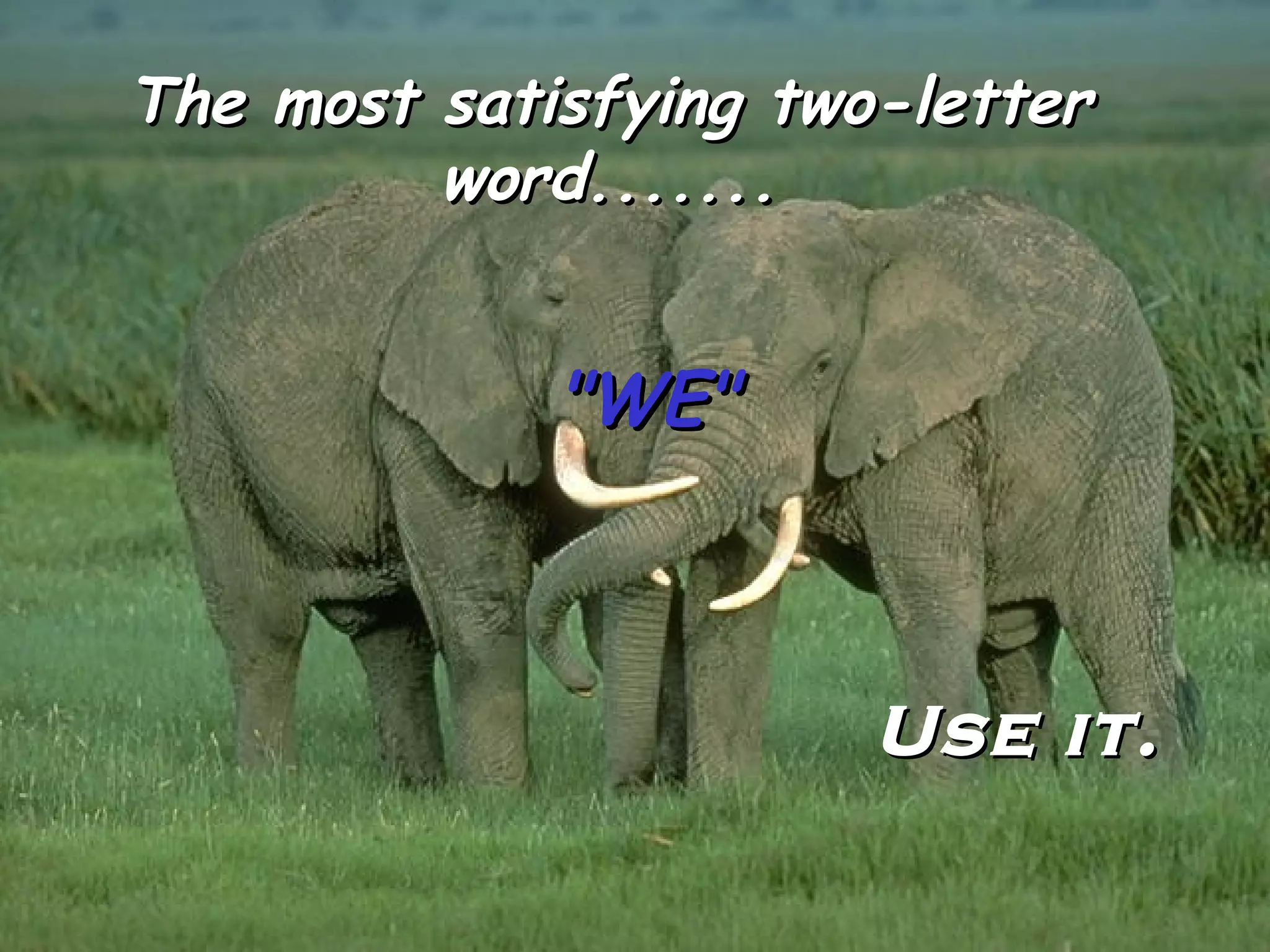 The most satisfying two-letter word....... "WE" Use it. 