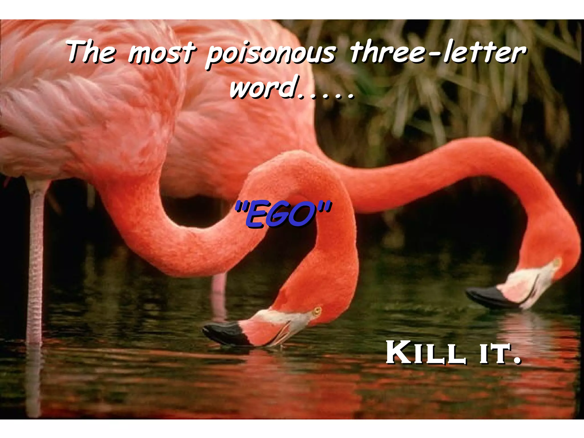 The most poisonous three-letter word..... "EGO" Kill it. 