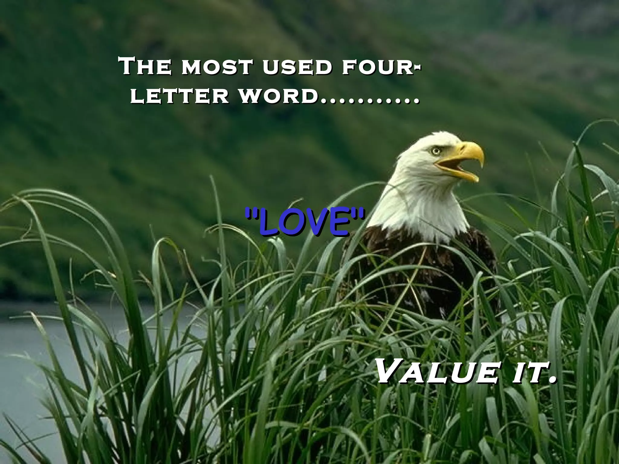 The most used four-letter word........... "LOVE" Value it. 