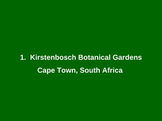 Kirstenbosch Botanical Gardens Cape Town, South Africa  