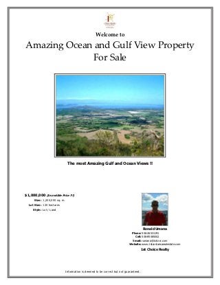 Welcome to

Amazing Ocean and Gulf View Property
             For Sale




                                The most Amazing Gulf and Ocean Views !!




$1,000,000 (Incredible Price !!!)
      Size: 1,200,000 sq. m.
  Lot Size: 120 hectares
     Style: Lot / Land




                                                                                          Ronald Umana
                                                                               Phone: 506-26531191
                                                                                 Cell: 506-85085002
                                                                                Email: rumana@1stcrcr.com
                                                                              Website: www.1stcostaricarealestate.com
                                                                                         1st Choice Realty




                               Information is deemed to be correct but not guaranteed.
 