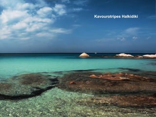 Kavourotripes Halkidiki   
