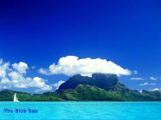 The Blue Sea 