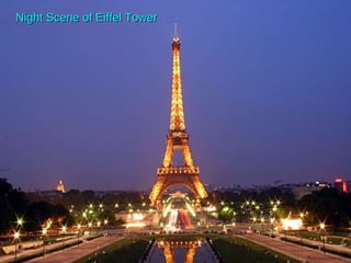Night Scene of Eiffel Tower 