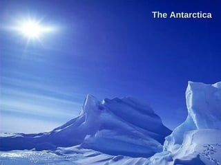 The Antarctica 