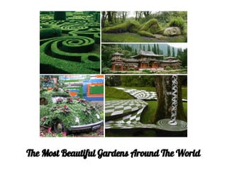 The Most Beautiful Gardens Around The World
 