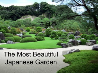 The Most Beautiful
Japanese Garden
 