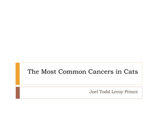 The Most Common Cancers in Cats
Joel Todd Leroy Prince
 