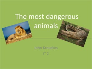 The most dangerous 
animals 
John Krouskos 
Γ’ 2 
 