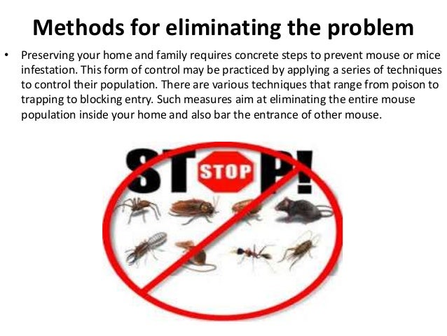 the most effective methods for dealing with mice in 2014