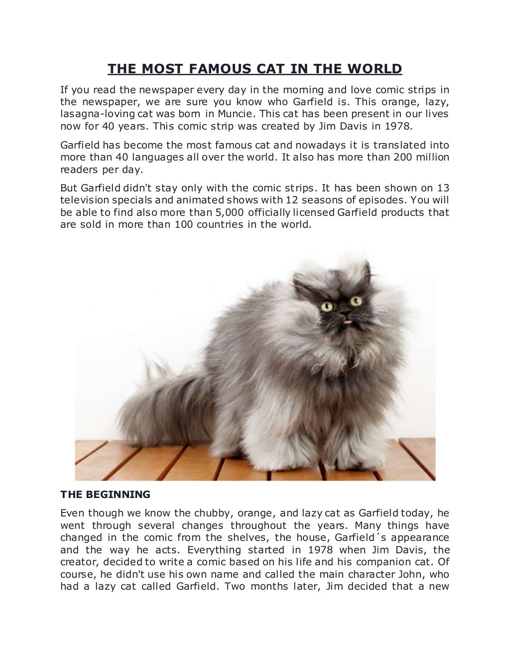 The Most Famous Cat In The World